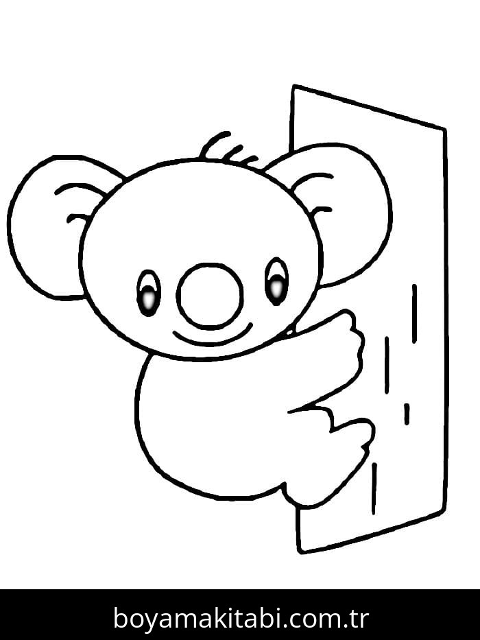 Koala