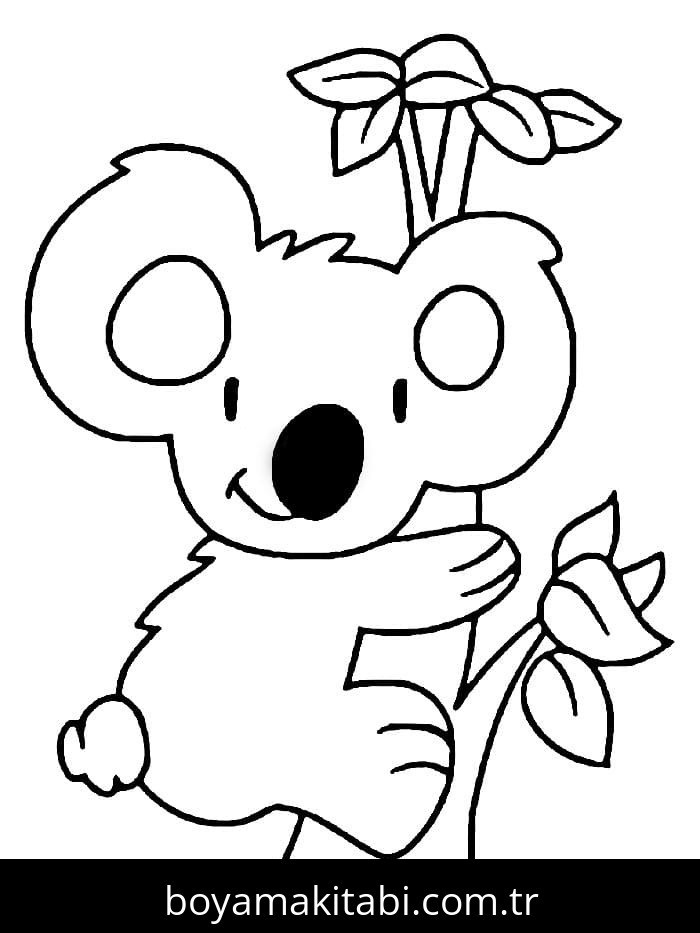 Koala