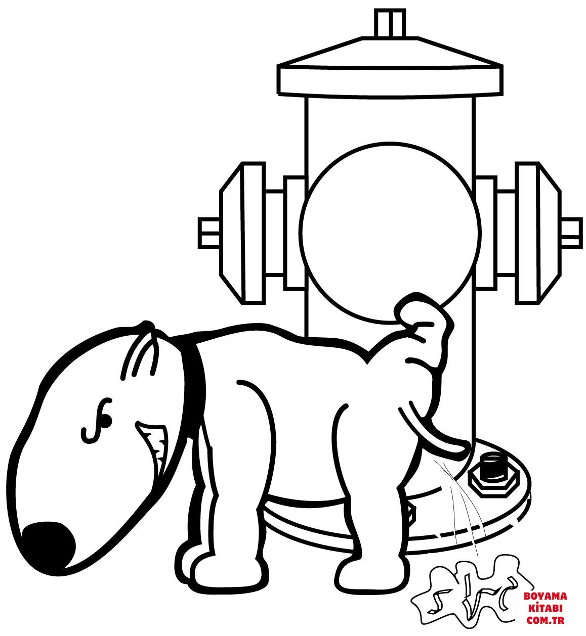 Köpek