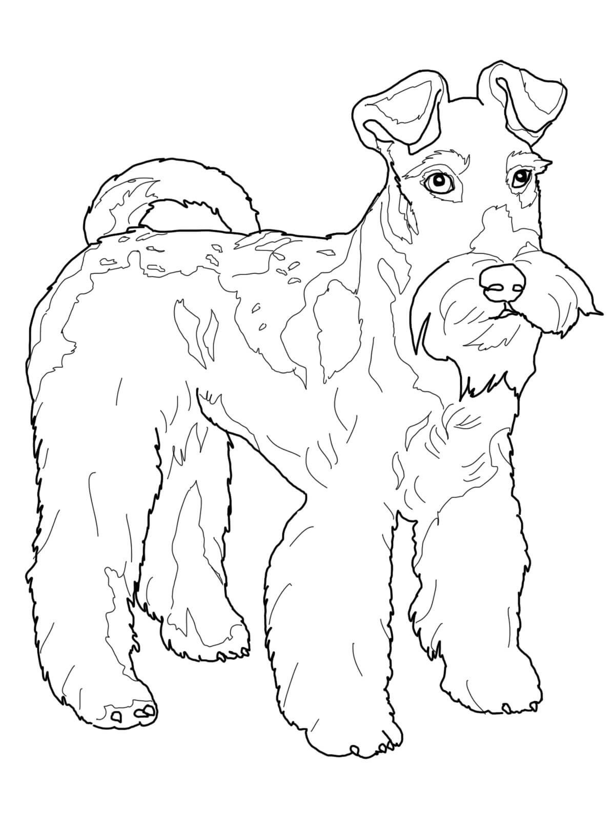 Köpek