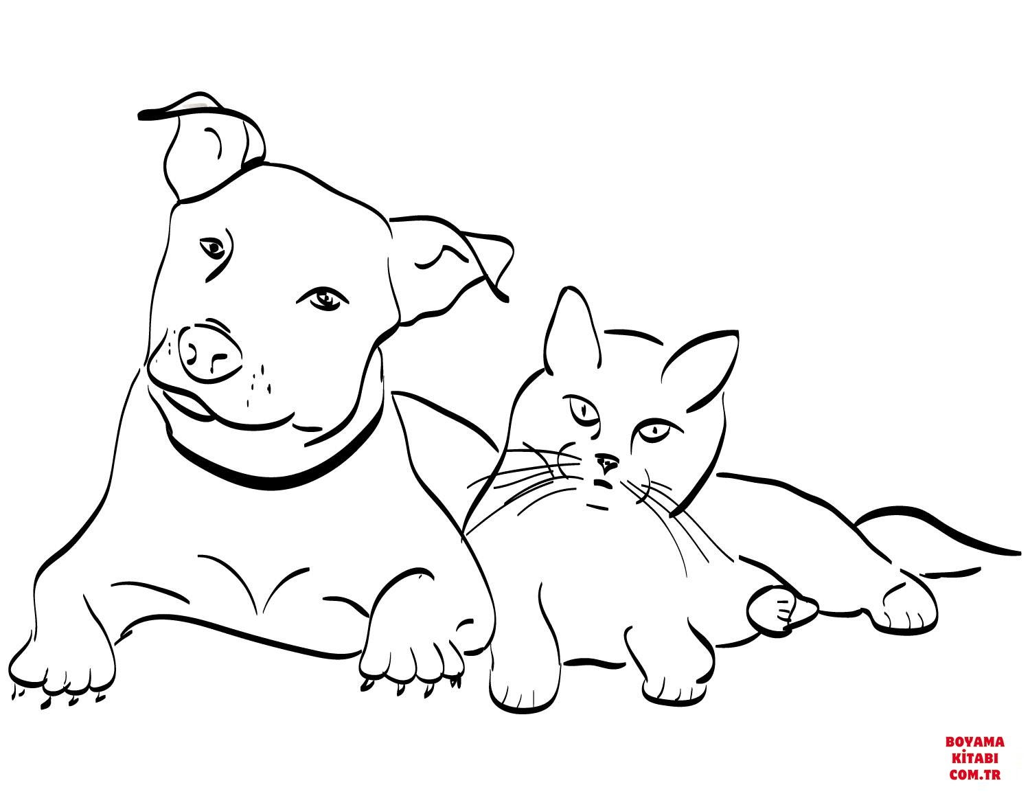 Köpek