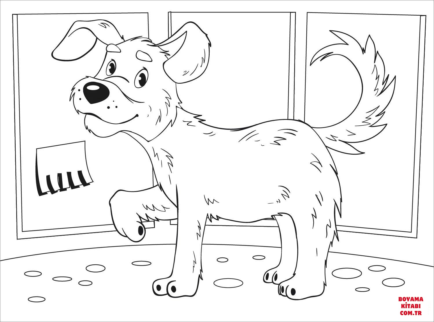Köpek