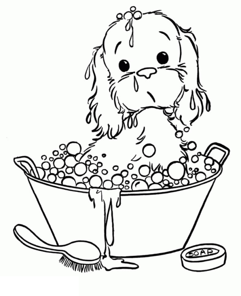 Köpek Yavrusu