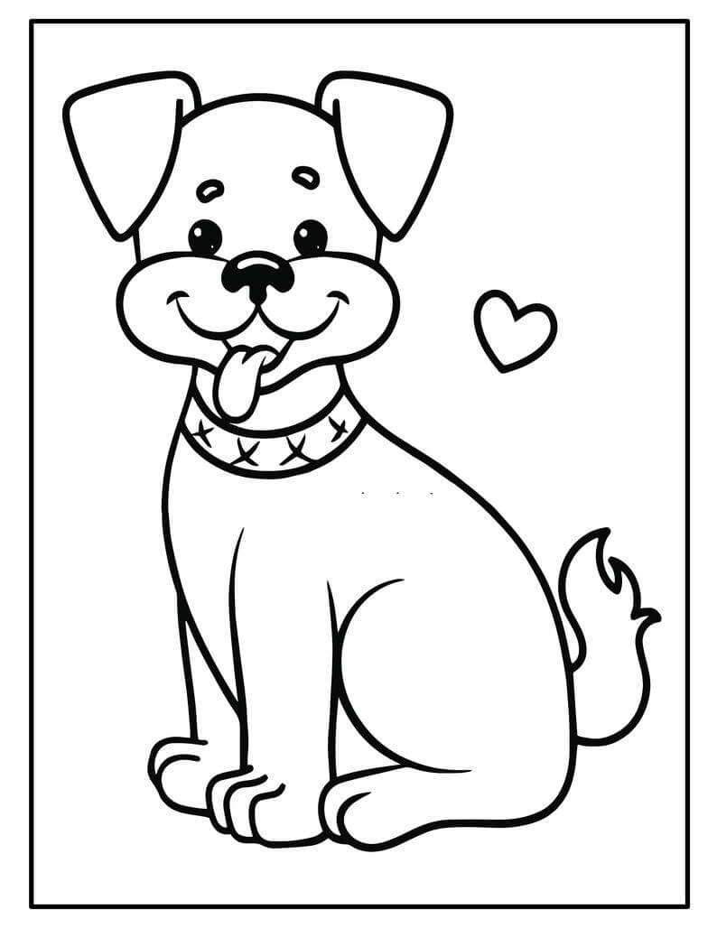 Köpek Yavrusu