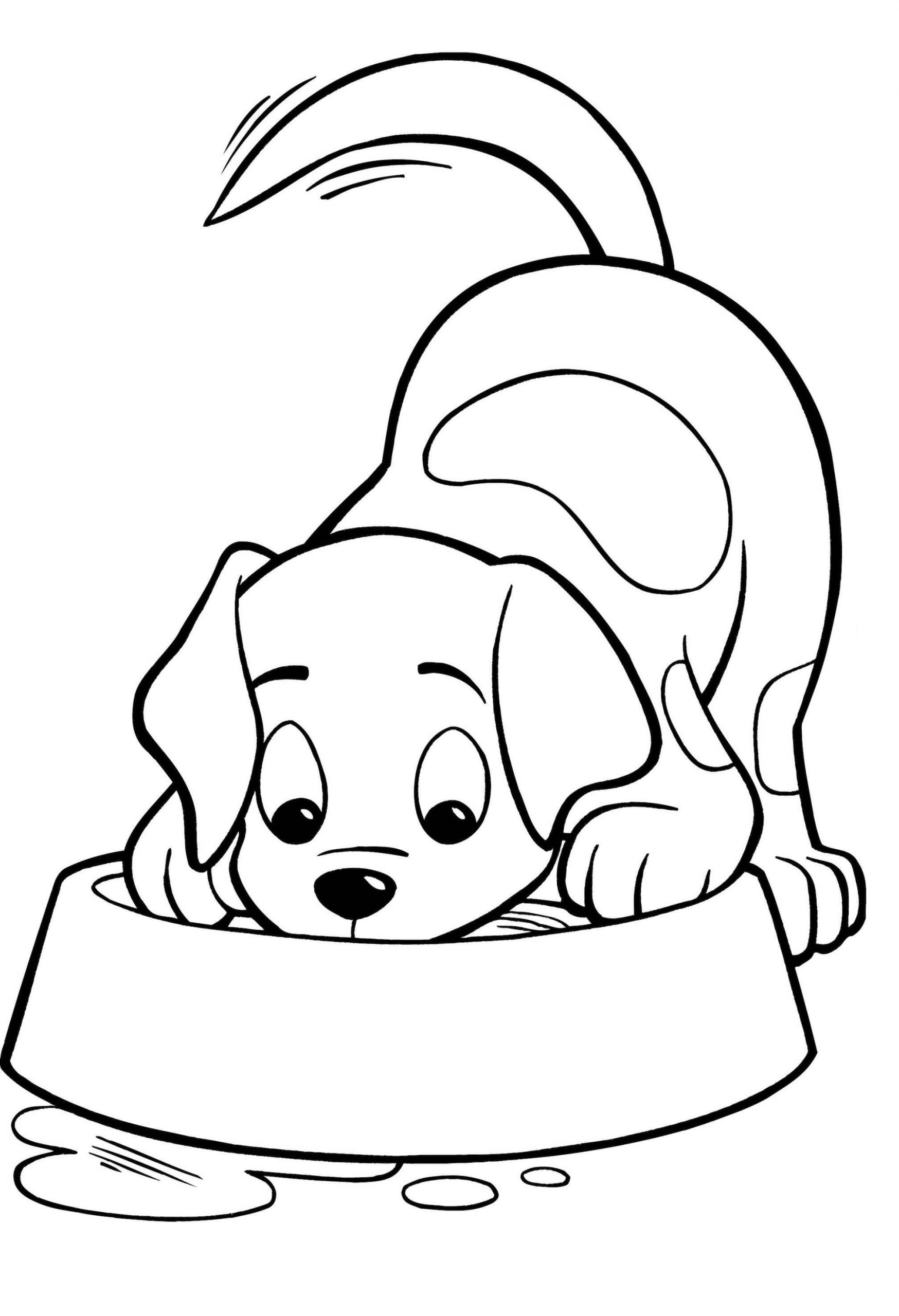 Köpek Yavrusu