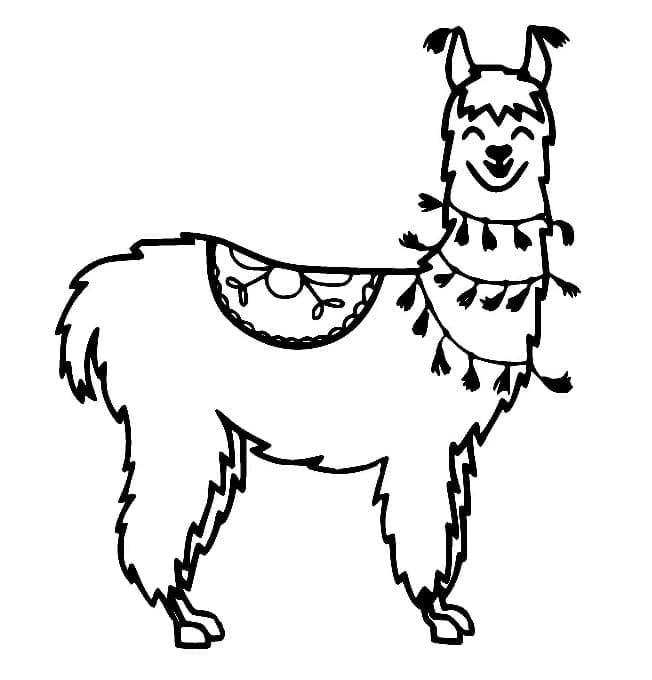 Lama