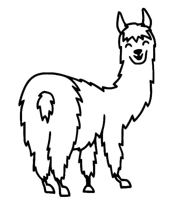 Lama