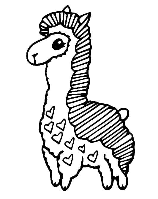 Lama