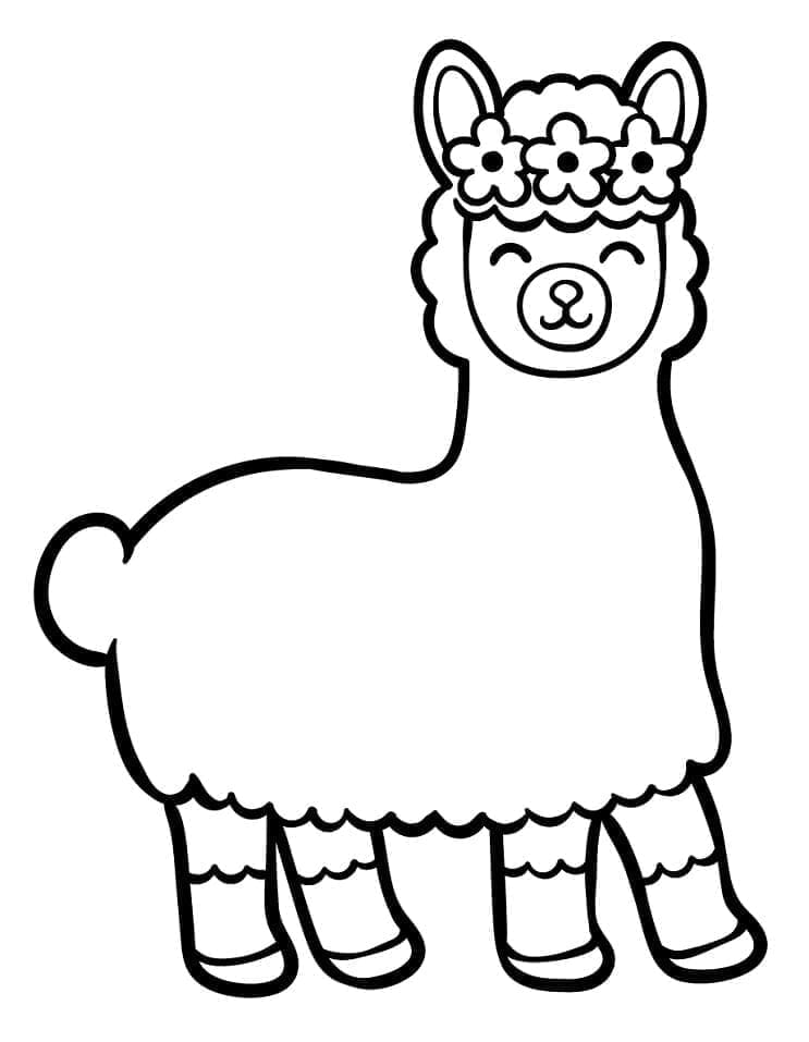 Lama