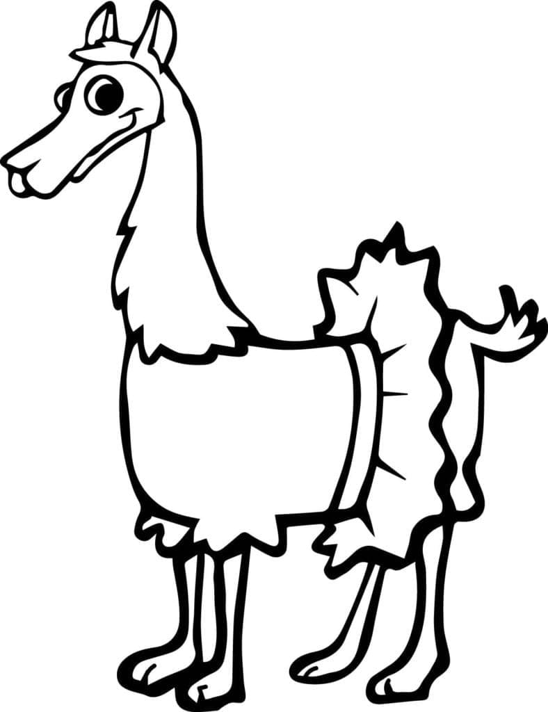 Lama