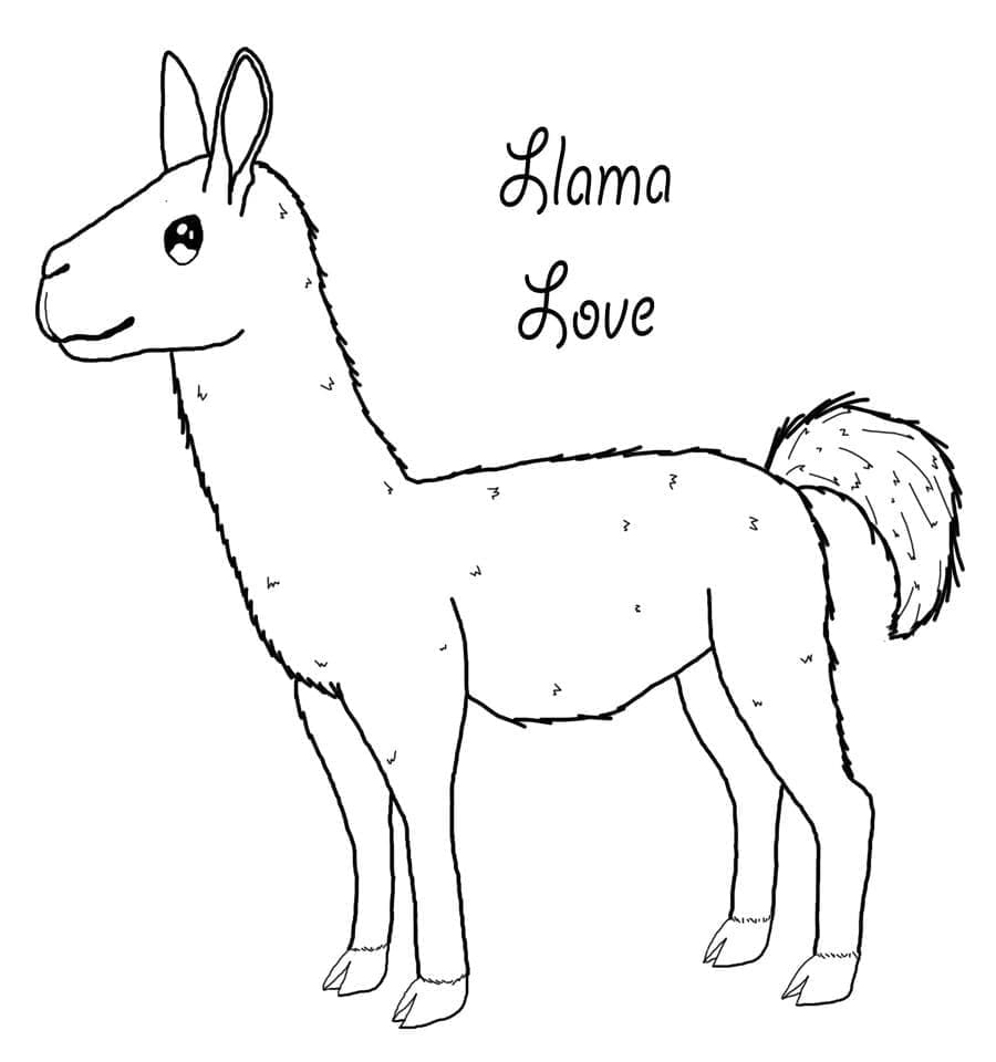 Lama