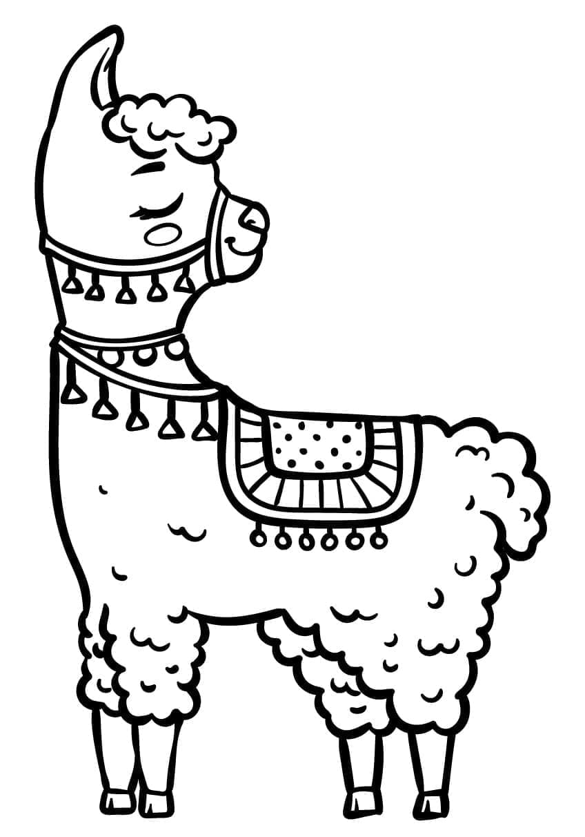 Lama