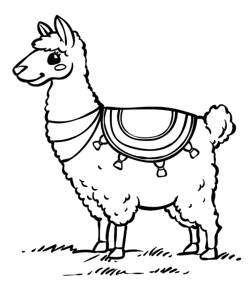 Lama