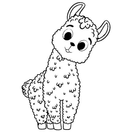 Lama