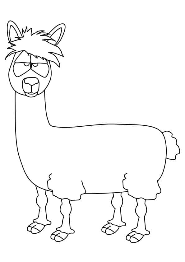 Lama