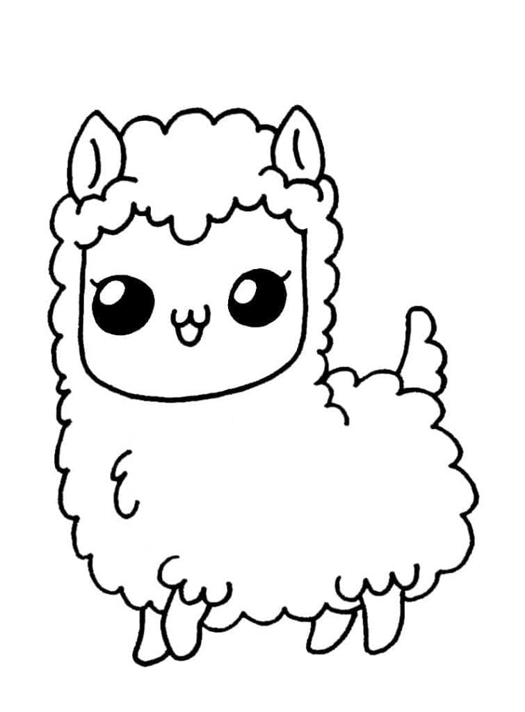 Lama