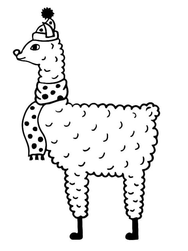 Lama