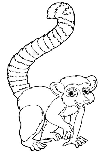 Lemur