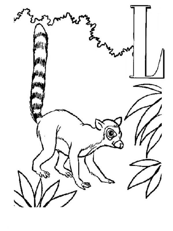 Lemur