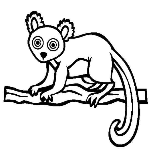 Lemur