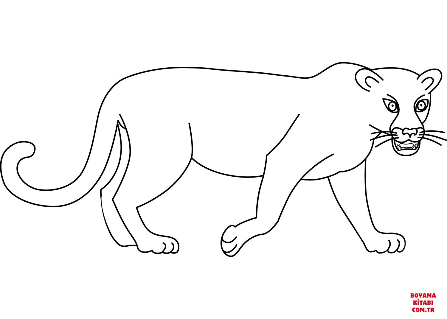 Leopar