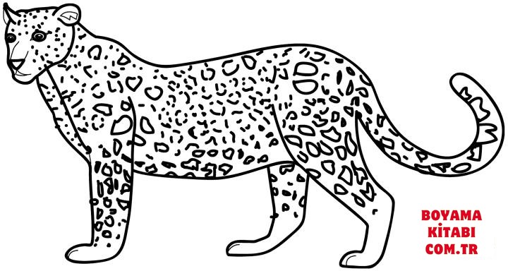 Leopar