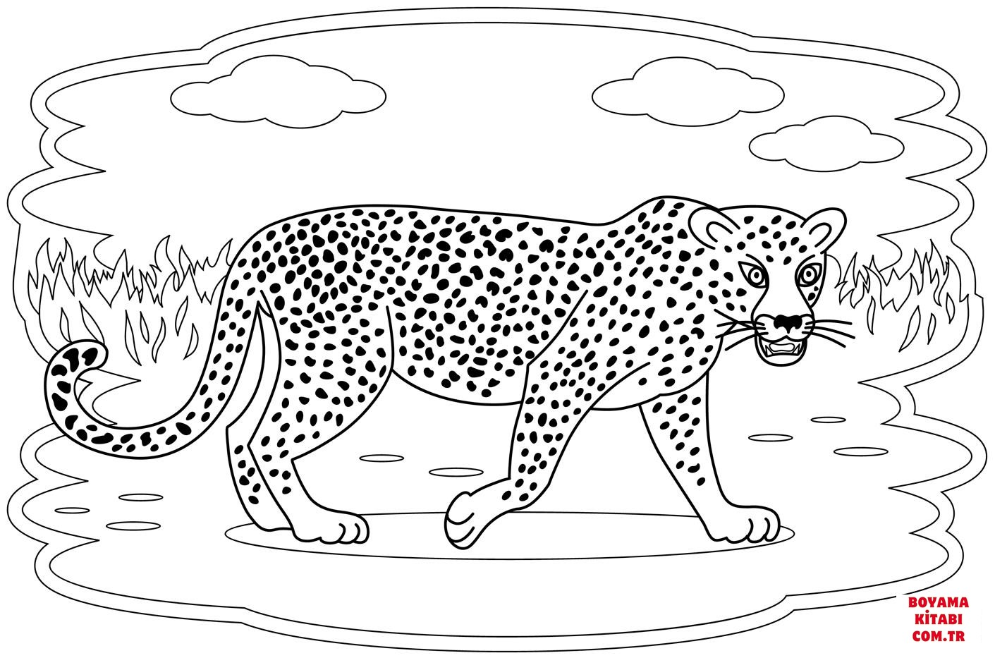 Leopar