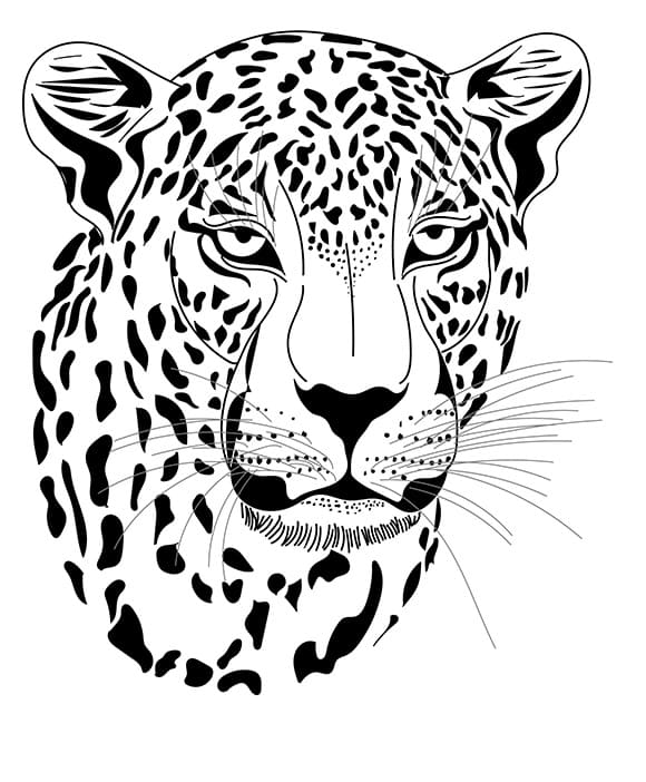 Leopar