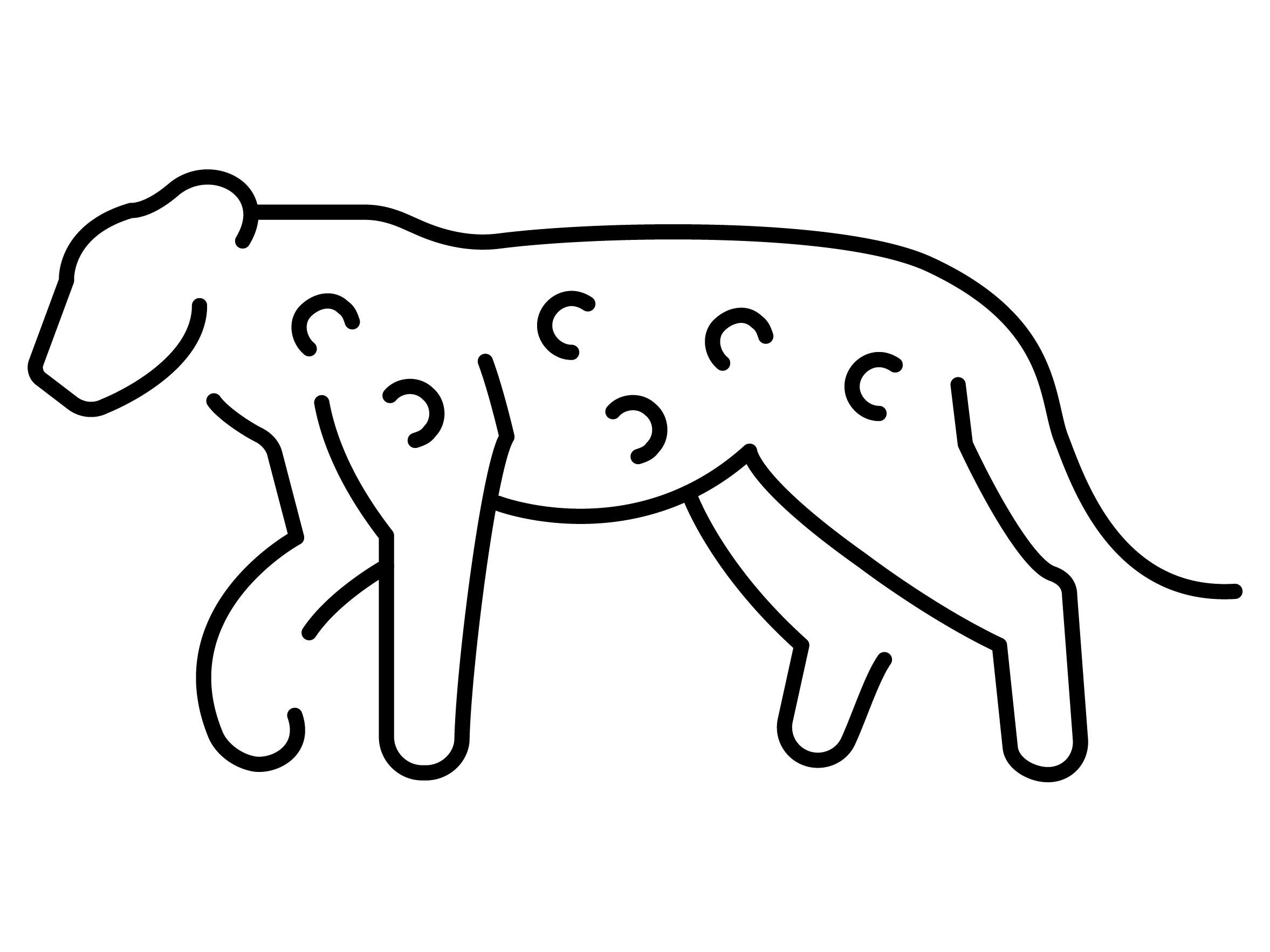 Leopar