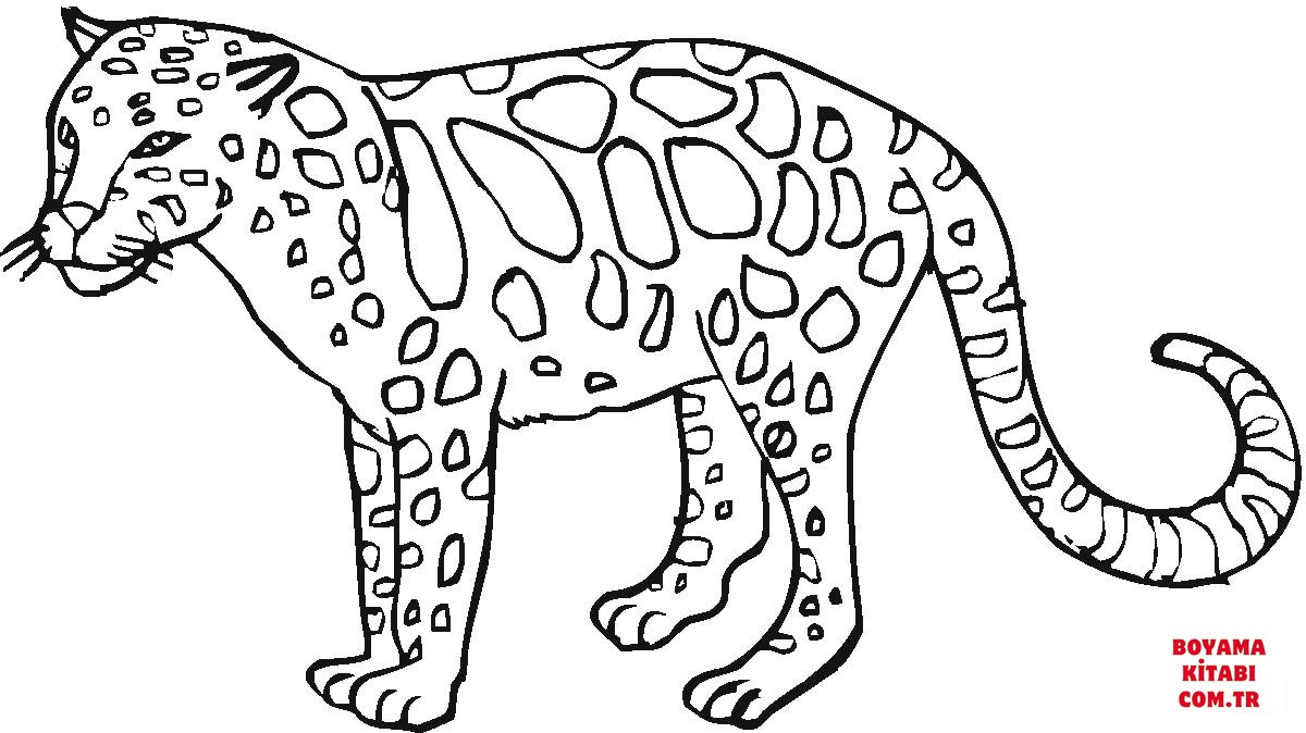 Leopar
