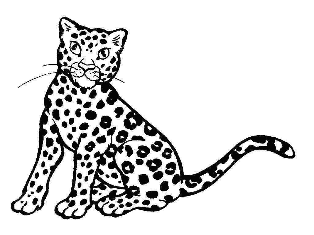 Leopar