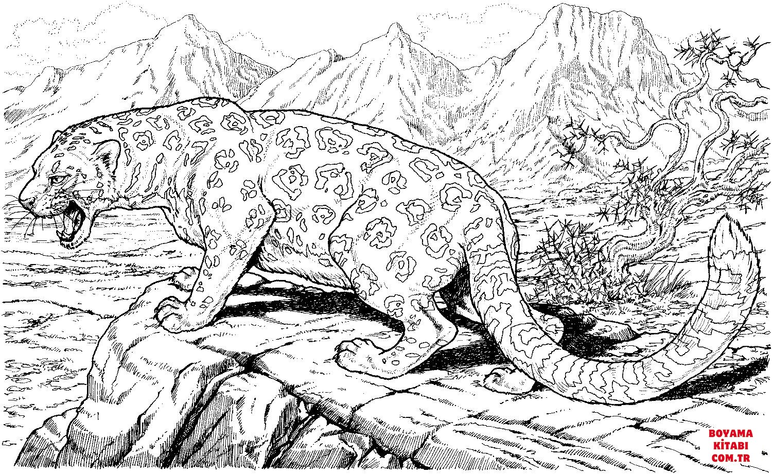 Leopar