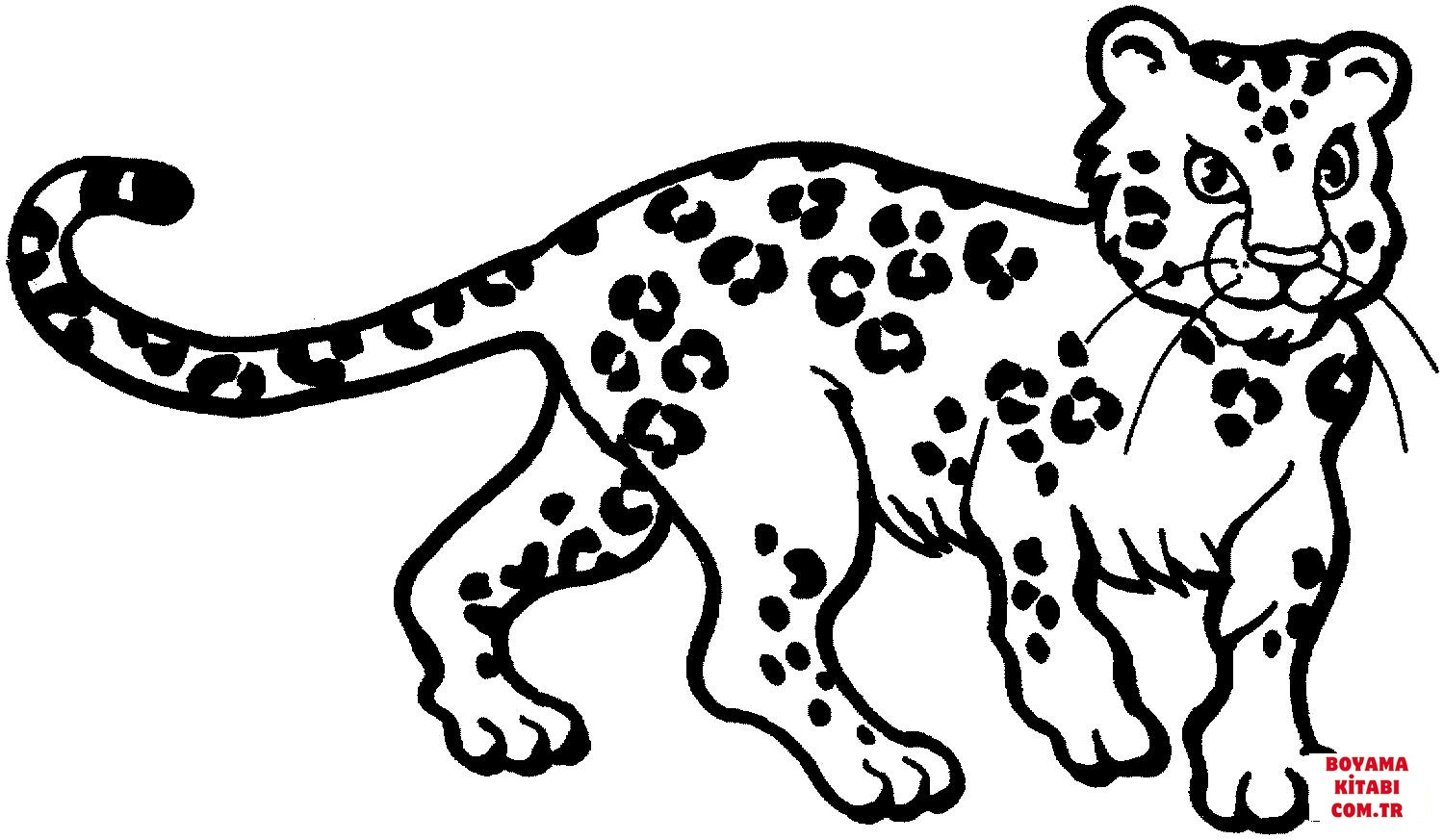 Leopar