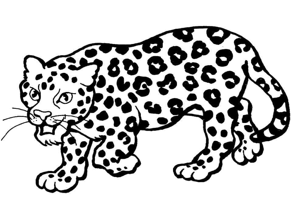 Leopar