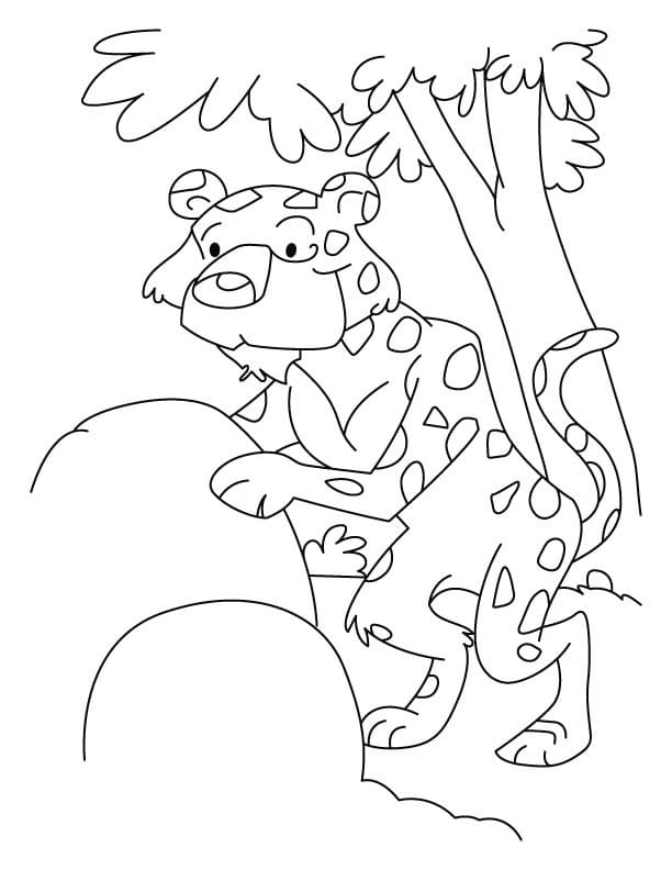 Leopar