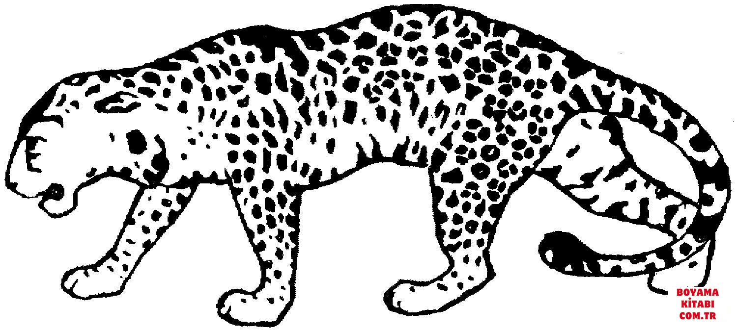 Leopar