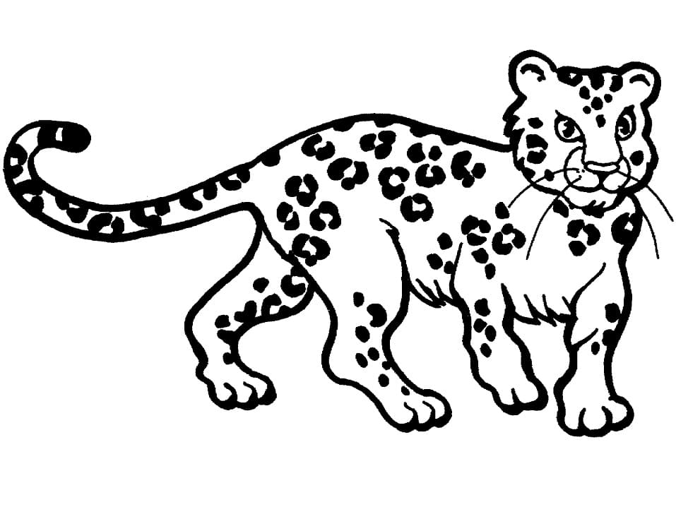 Leopar