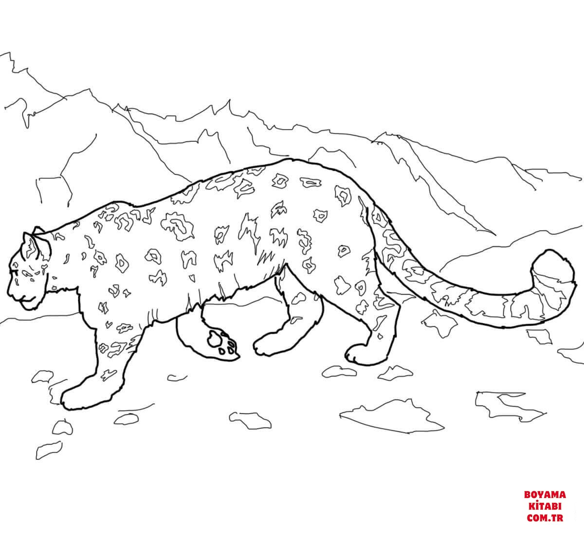 Leopar