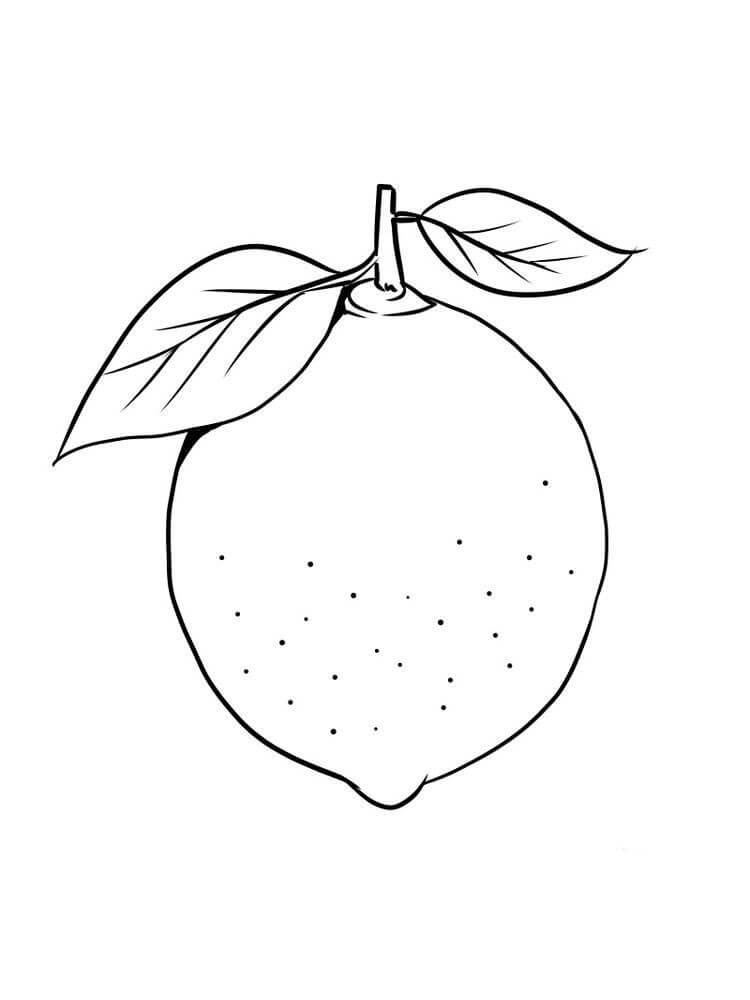 Limon