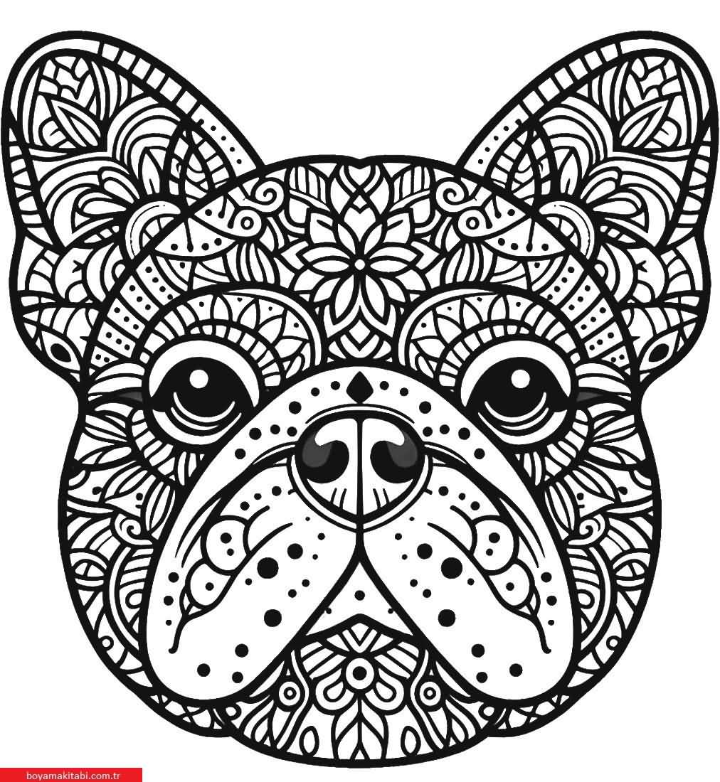 Mandala Hayvanlar