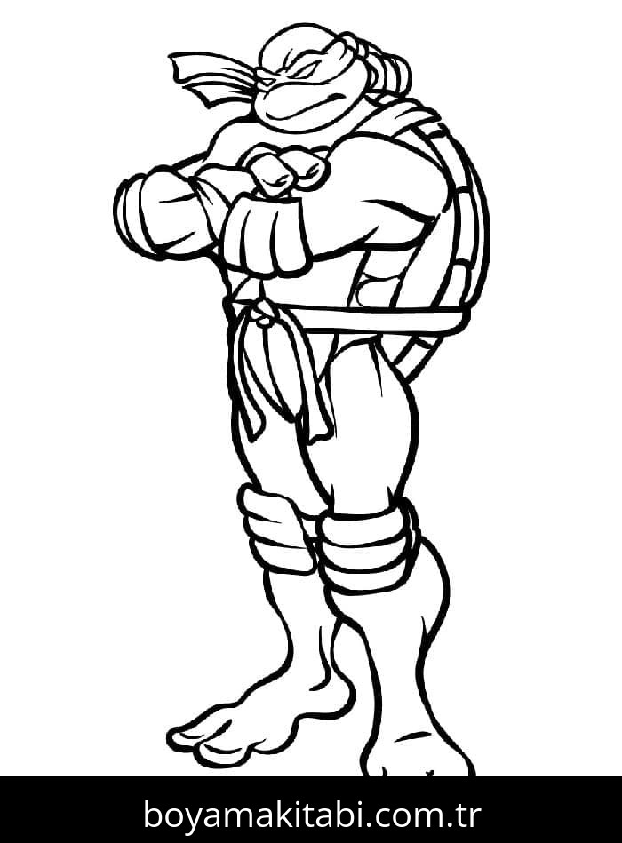 Ninja Kaplumbağalar