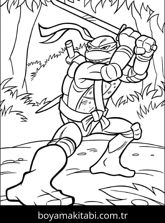 Ninja Kaplumbağalar