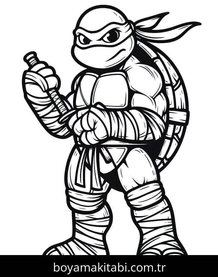 Ninja Kaplumbağalar