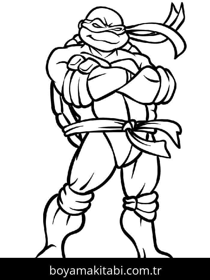 Ninja Kaplumbağalar