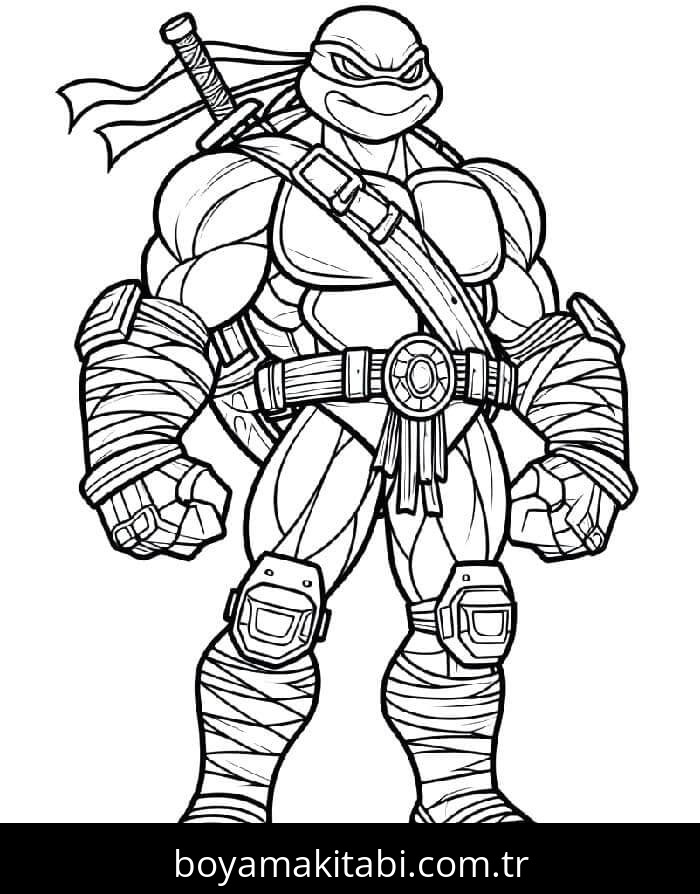 Ninja Kaplumbağalar