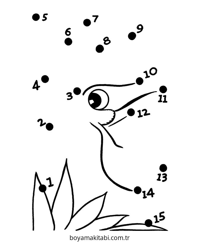 Noktaları Birleştirme