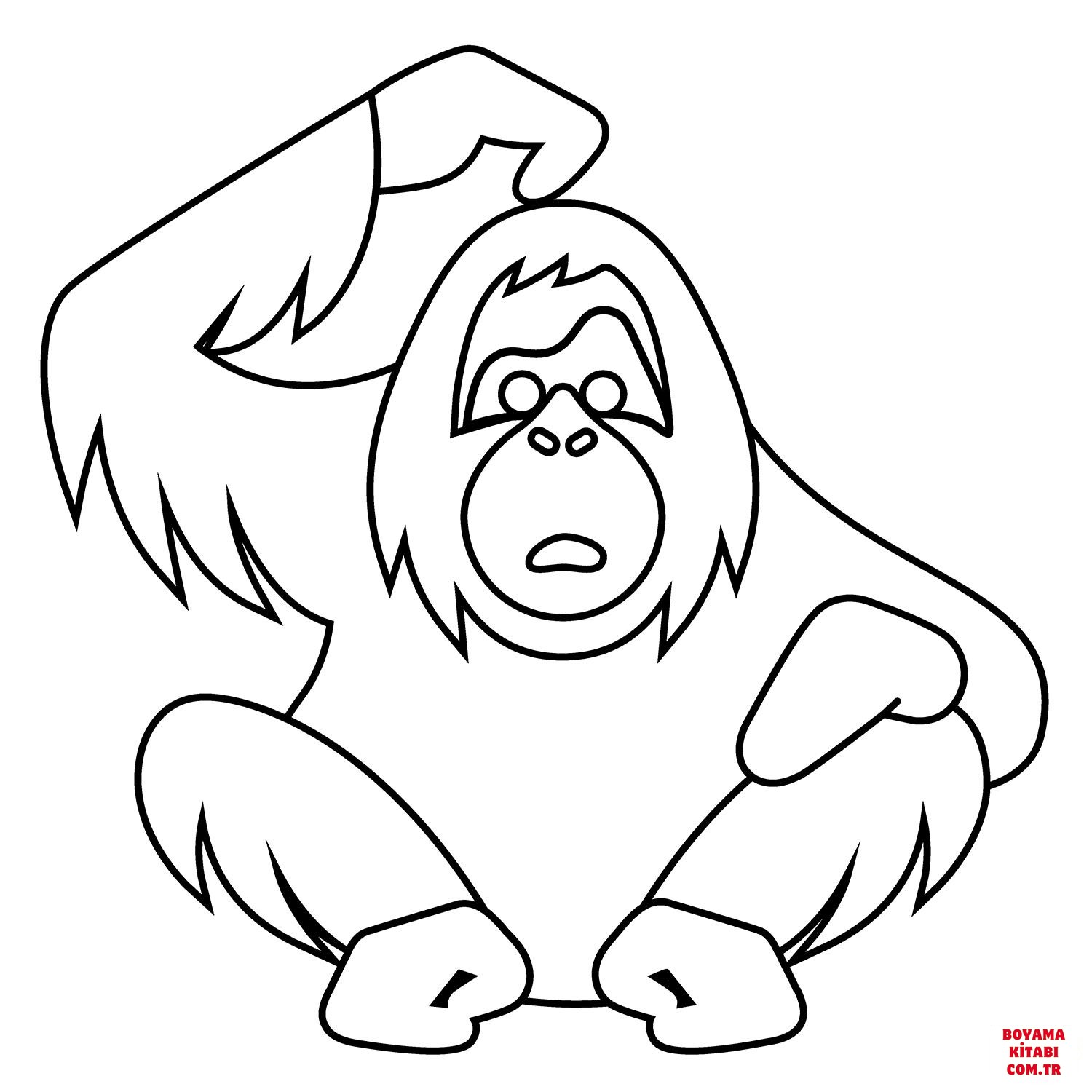 Orangutan