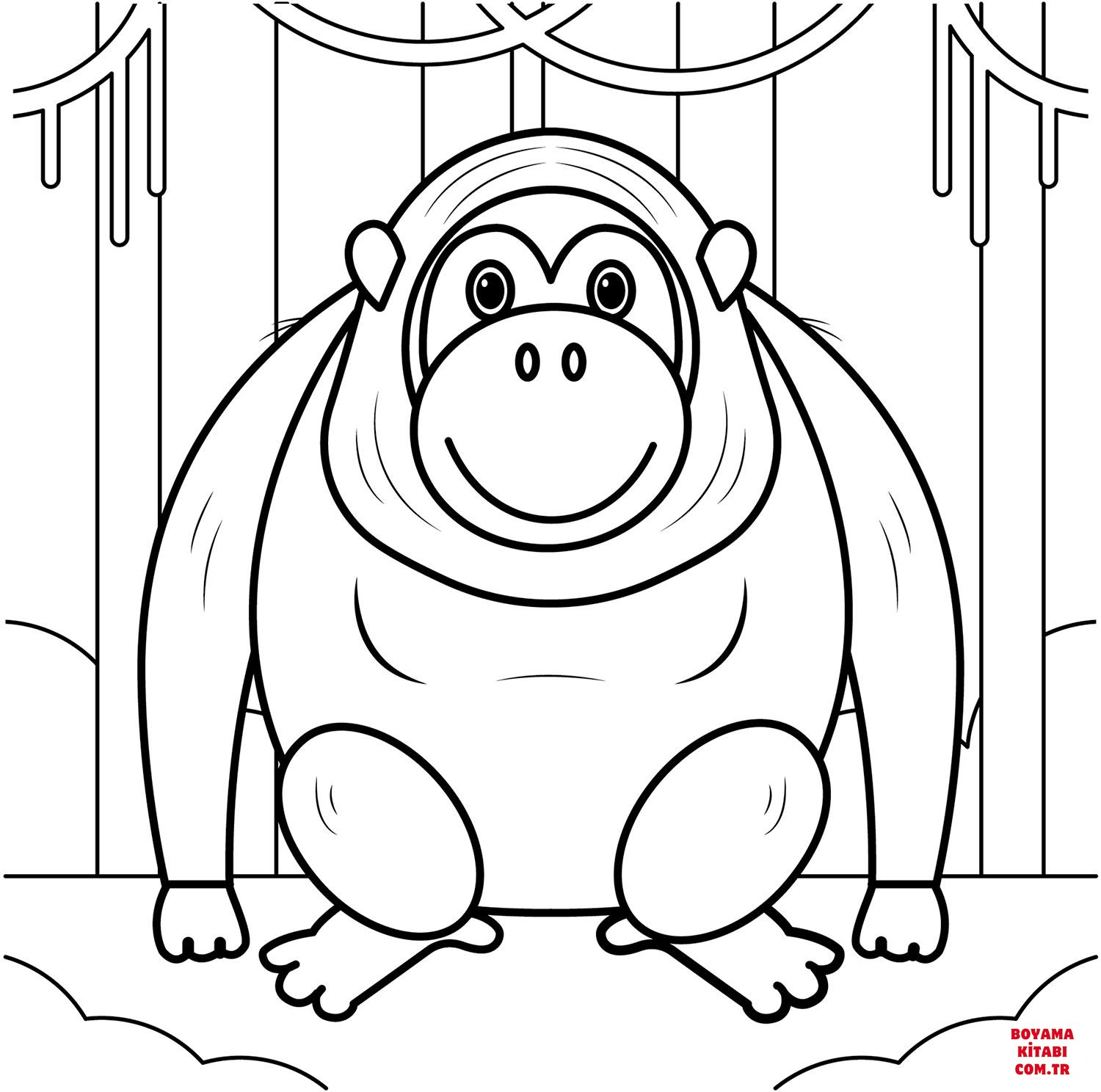 Orangutan