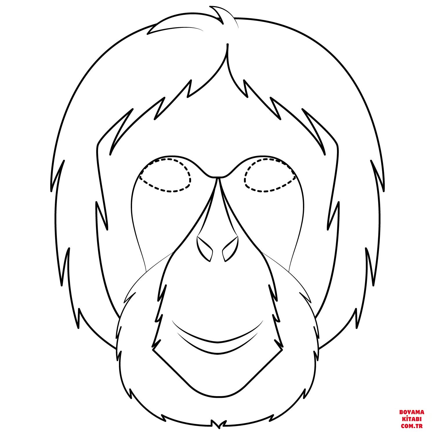 Orangutan