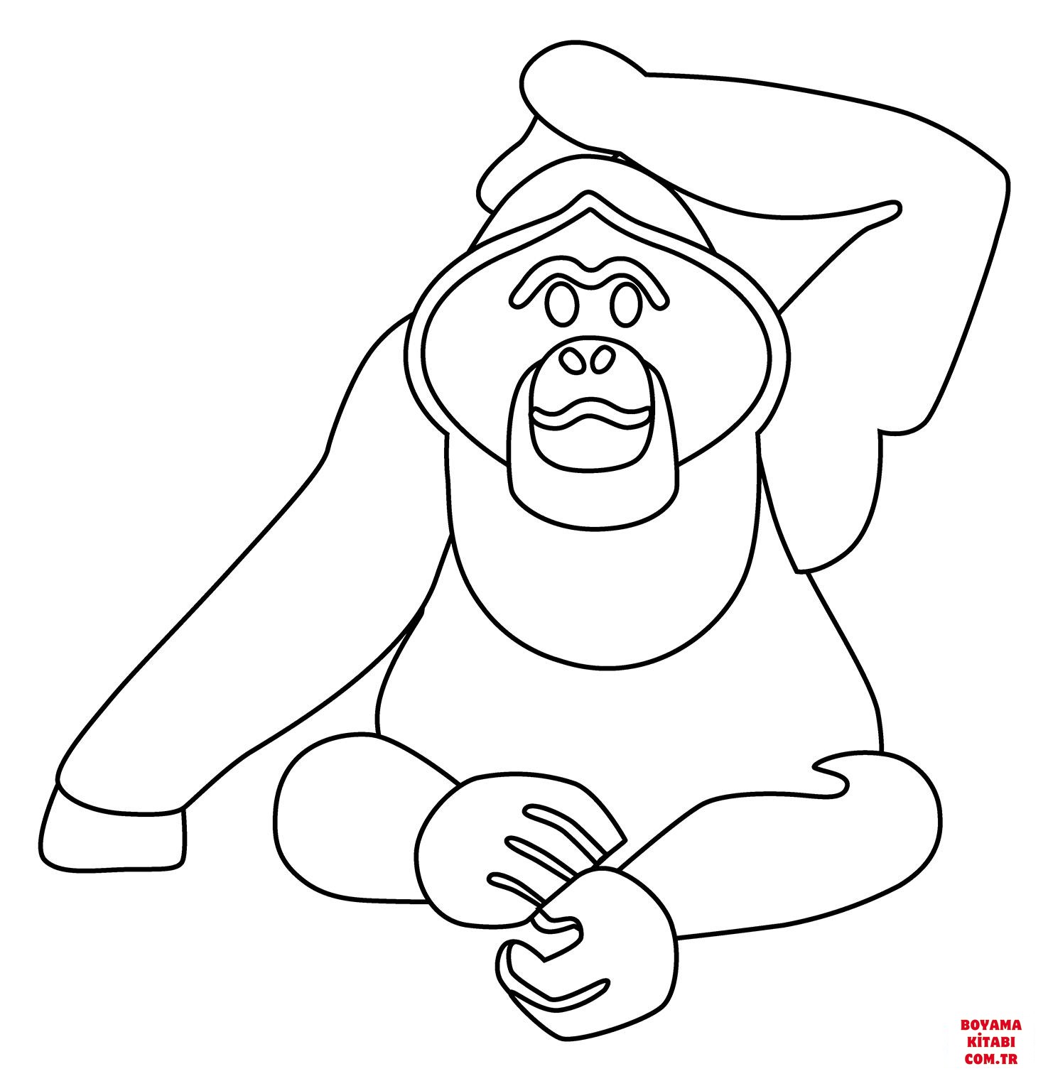 Orangutan